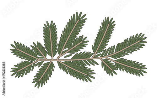 Green fern frond with delicate serrated leaves isolated on white background
