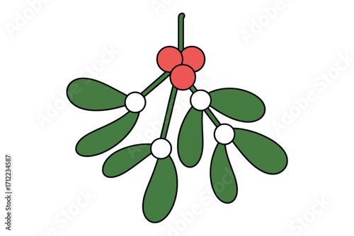 Traditional christmas mistletoe sprig with red berries and green leaves