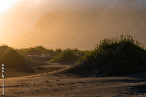 Fototapeta Naklejka Na Ścianę i Meble -  Sand dune with warm sunset light.