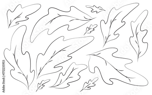 Simple arugula leaves pattern on white page