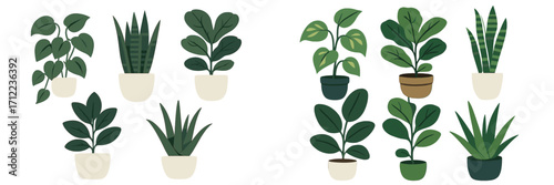 Stylized collection of popular indoor potted plants featuring lush green foliage and various decorative containers