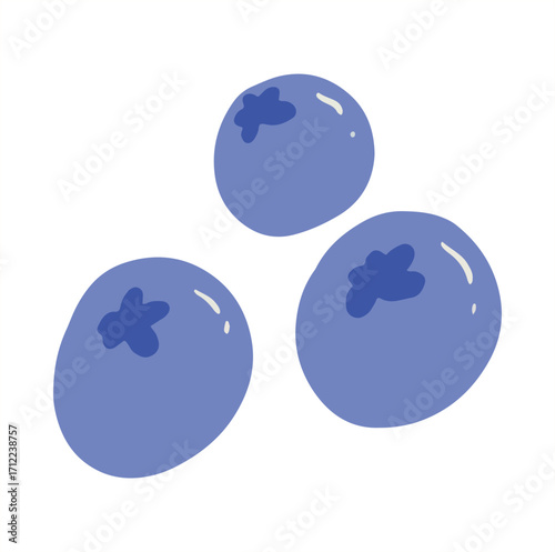 fresh blueberry vector illustration