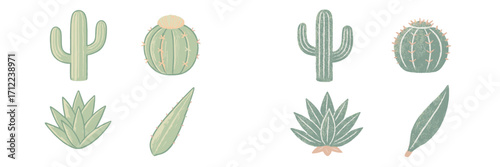 Stylized green desert plants and succulents collection featuring various cactus species and agave leaves
