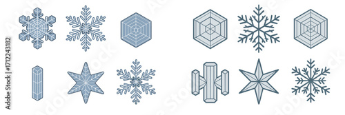 Assortment of unique geometric and dendritic snowflake ice crystals showcasing various winter shapes
