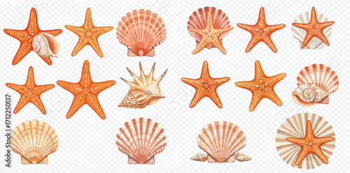 A vibrant collection of orange starfish and assorted seashells, including scallops and conches, isolated on a transparent background.