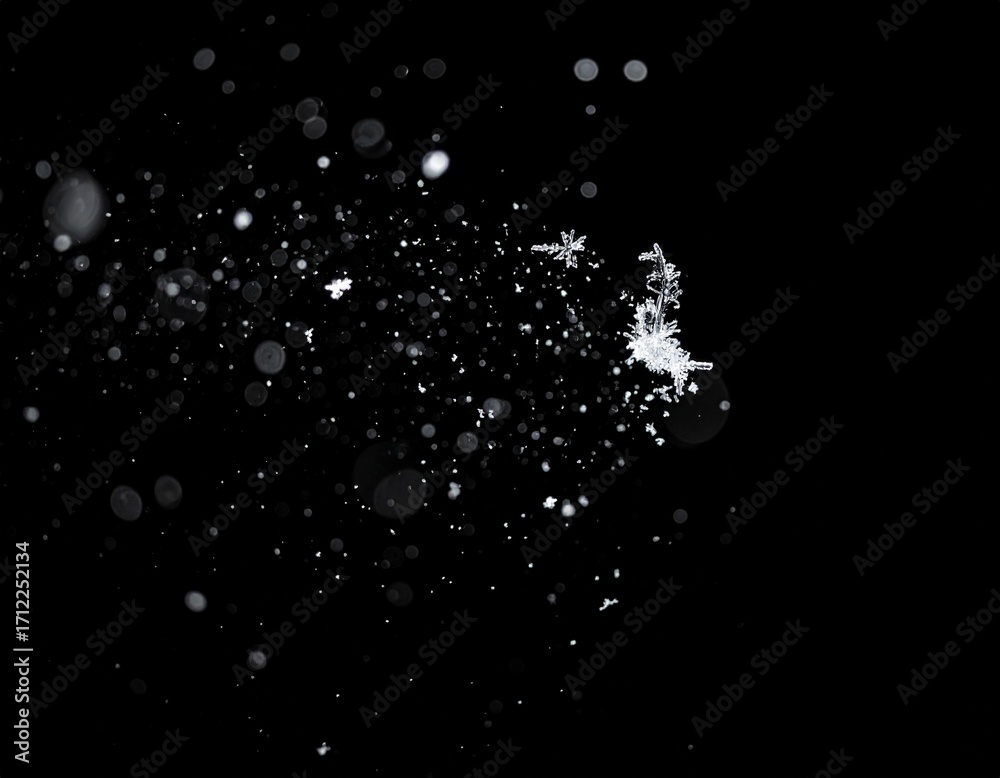 Obraz premium Floating Snow Particles on Black Background