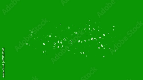 Glitter star sparkle animation green screen, shiny glowing stars, flat, vector, flat vector doodles, white cartoon blinking stars, Bokeh light lights effect background whith 4K Loop Animation