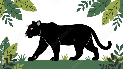Black panther walking among green tropical leaves and plants  