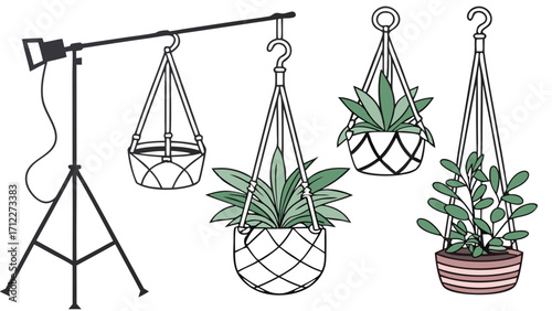 Hanging Plants Studio Lighting Macrame Plant Hanger Houseplants Home Decor Interior Design Illustration.