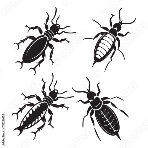 A Subterranean Termite Colony, a Social Insect from the Isoptera Order, a Destructive Pest Known for Wood Damage and Infestation, a Nature's Decomposer Creating an Intricate Mound