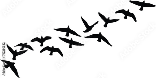 Silhouette flock of birds flying in formation, dynamic wing motion, nature migration concept, black vector illustration, wildlife freedom, minimalist design, isolated graphic