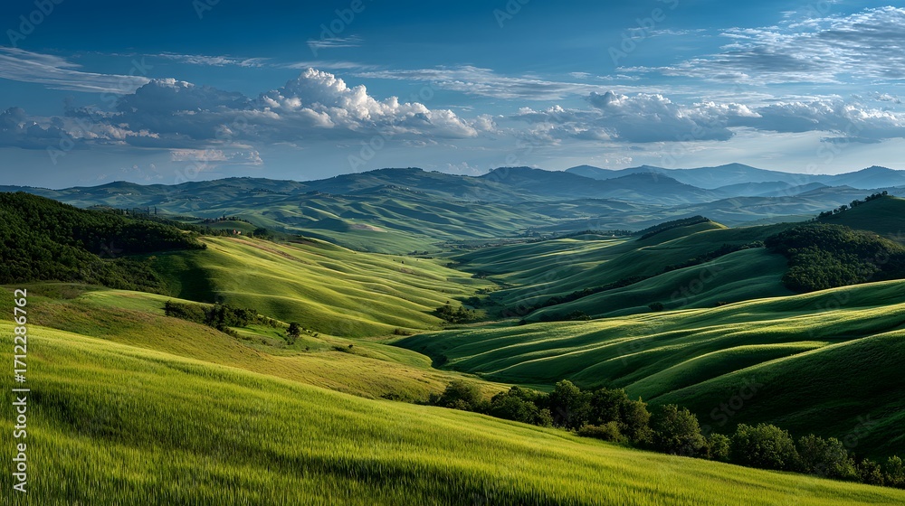 Obraz premium Stunning, panoramic photograph of the rolling green hills of Tuscany in late spring, bathed in warm afternoon sunlight that creates soft shadows, under a vast blue sky with wispy clouds.