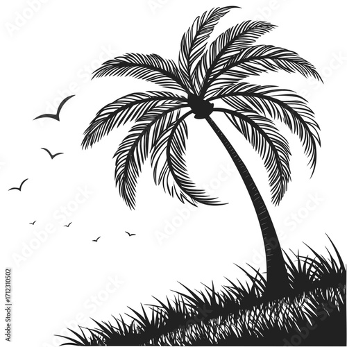 palm tree silhouette