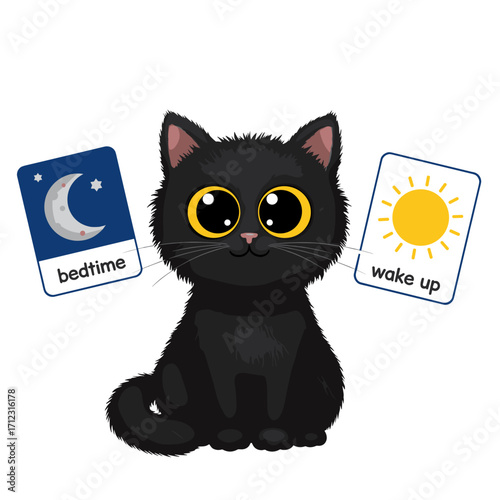 Flat icon of black fluffy cat with two routine cards moon bedtime and sun wake up, isolated