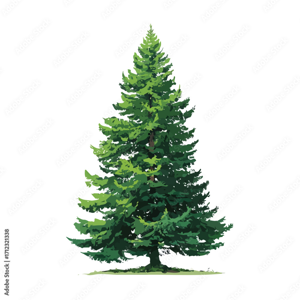 Obraz premium Flat 2D Douglas Fir Tree vector illustration, icon graphic on white background