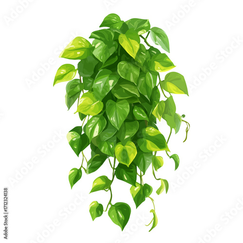 2D flat vector graphic of a Golden Pothos in icon style, isolated on white background