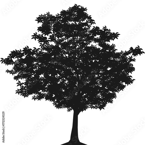 Large Tree Silhouette Illustration for Nature, Landscape, and Forest Design