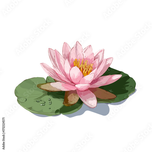Water Lily, 2D flat vector illustration in icon style, isolated on a white background
