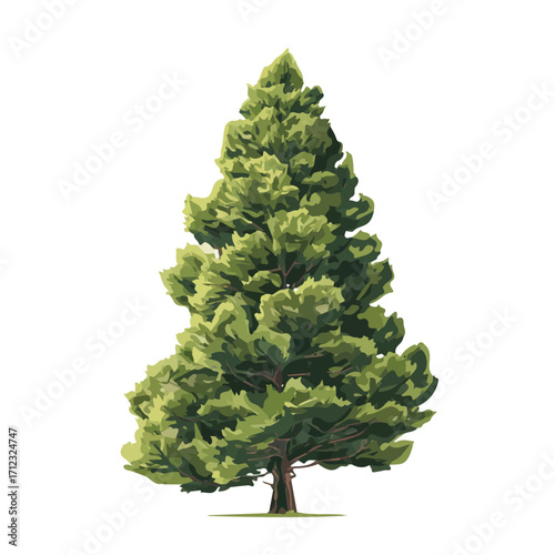 Minimal 2D flat vector of a Cypress Pine Tree, icon-style illustration on a white background