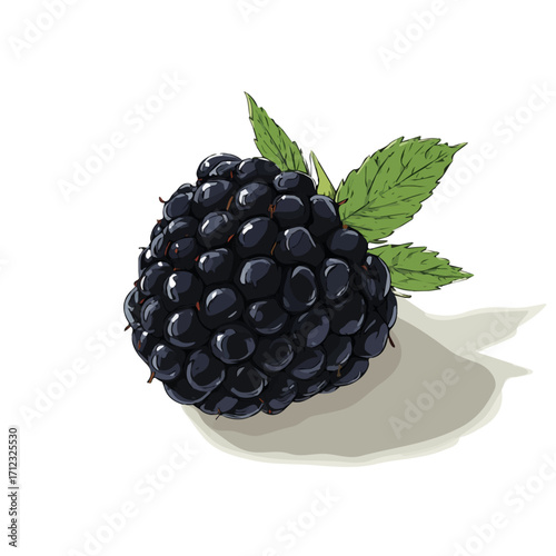 Blackberry, 2D flat vector illustration in icon style, isolated on a white background