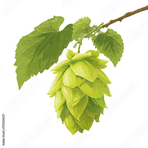 Minimal 2D flat vector of a Hops Flower, icon-style illustration on a white background