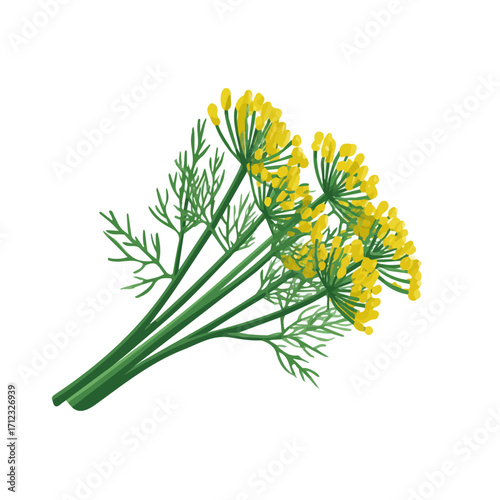Dill, 2D flat vector illustration in icon style, isolated on a white background