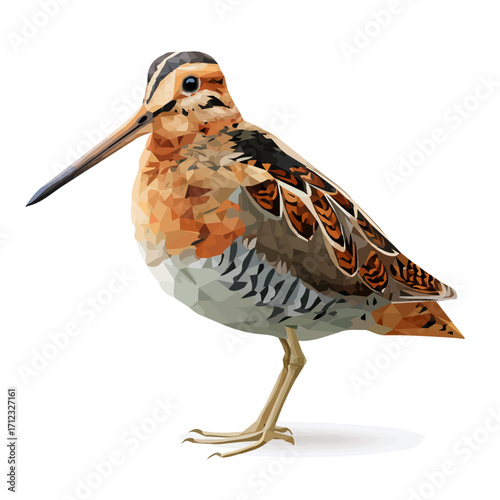 Canvastavla Woodcock, 2D flat vector illustration in icon style, isolated on a white backgro