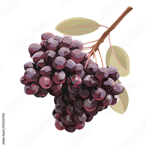 2D flat vector graphic of a Brunia Berry in icon style, isolated on white background