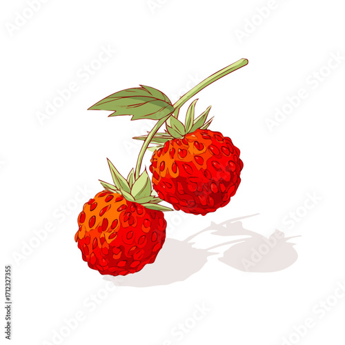 2D flat vector graphic of a Wild Strawberry in icon style, isolated on white background