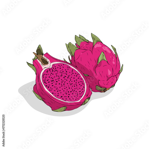 Minimal 2D flat vector of a Dragon Fruit, icon-style illustration on a white background