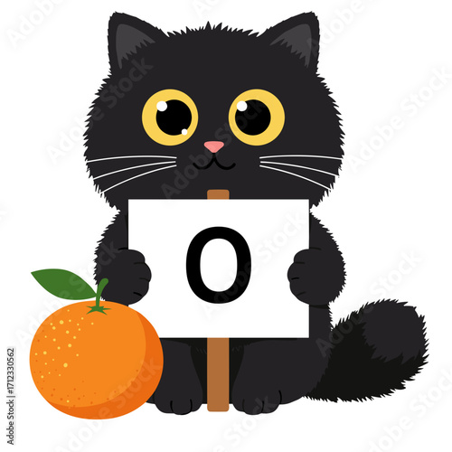 Flat icon of black fluffy cat holding a placard with letter “O” while sitting next to a round orange fruit, isolated