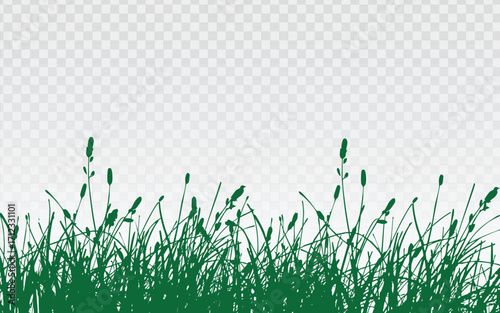 Green grass and wildflower silhouettes forming a natural meadow border on a transparent background. Ideal for nature-themed designs, eco projects, backgrounds, website headers, and seasonal graphics.