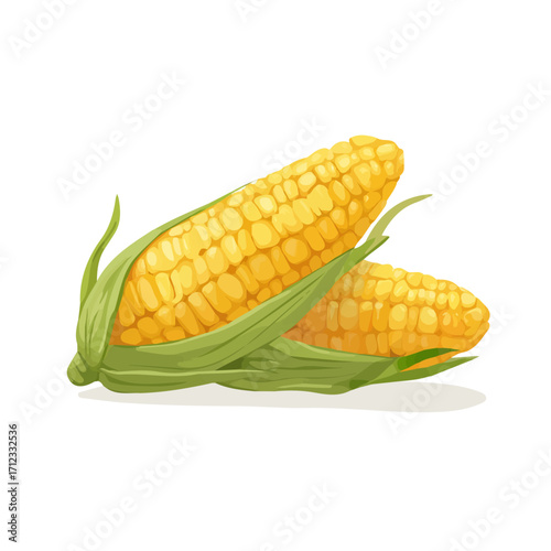 Flat 2D Sweet Corn vector illustration, icon graphic on white background