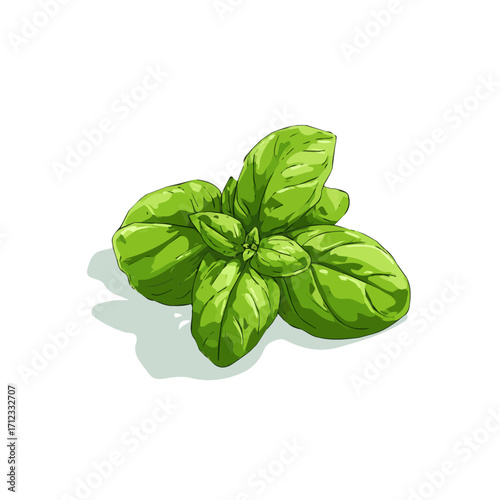 Basil, 2D flat vector illustration in icon style, isolated on a white background
