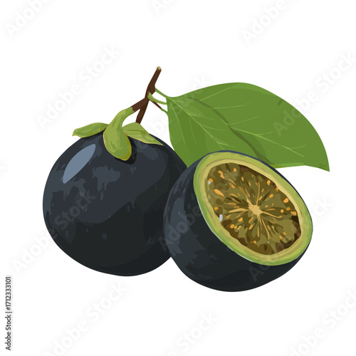 2D flat vector graphic of a Black Sapote in icon style, isolated on white background