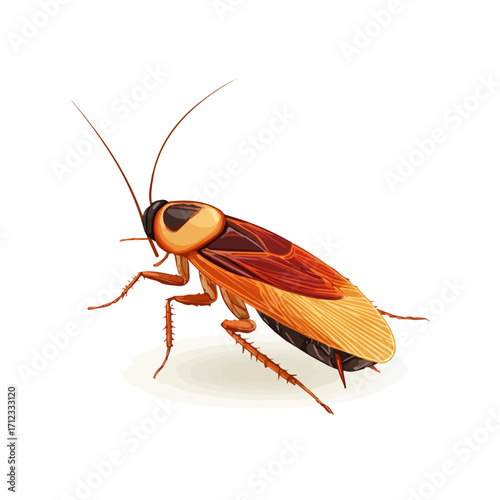 2D flat vector graphic of a Cockroach in icon style, isolated on white background