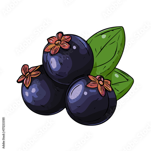Jabuticaba, 2D flat vector illustration in icon style, isolated on a white background