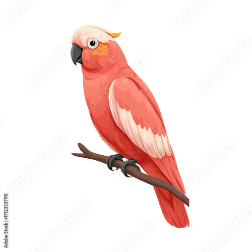 2D flat vector graphic of a Cockatoo in icon style, isolated on white background