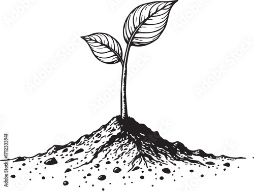 Sprout of Life: An artistic black-and-white illustration of a young sprout emerging from the soil, symbolizing growth, renewal, and the nurturing power of nature.