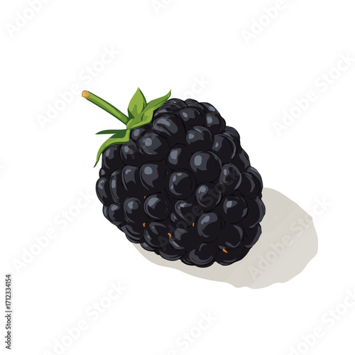 Blackberry, 2D flat vector illustration in icon style, isolated on a white background