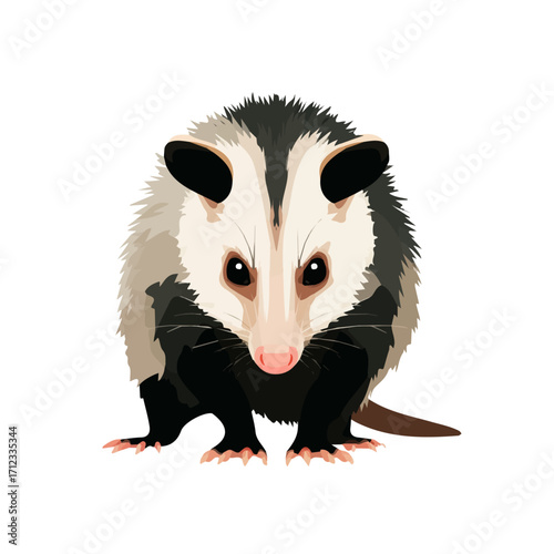 Minimal 2D flat vector of a Opossum, icon-style illustration on a white background