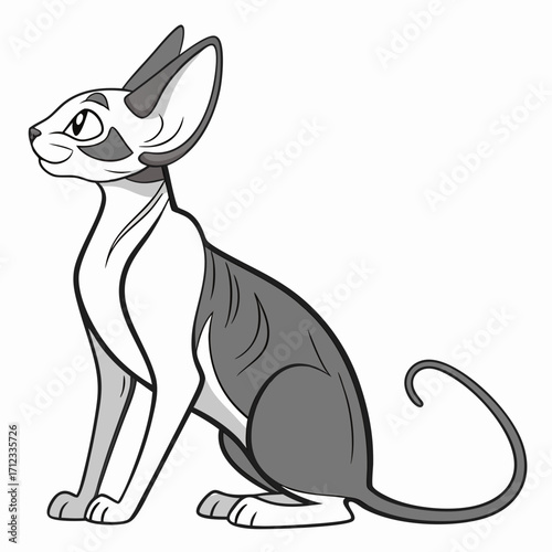 Sphinx cat breed color flat icon for web and mobile design. Vector illustration of cartoon Sphinx cat exotic cats of breed a sphinx. Cat portrait. Isolated on white background.