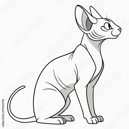 Sphinx cat breed color flat icon for web and mobile design. Vector illustration of cartoon Sphinx cat exotic cats of breed a sphinx. Cat portrait. Isolated on white background.
