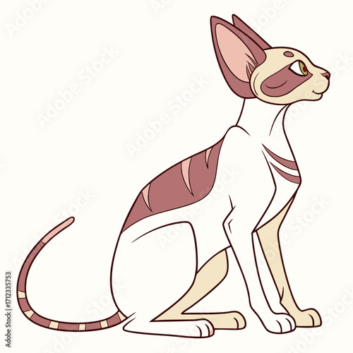 Sphinx cat breed color flat icon for web and mobile design. Vector illustration of cartoon Sphinx cat exotic cats of breed a sphinx. Cat portrait. Isolated on white background.