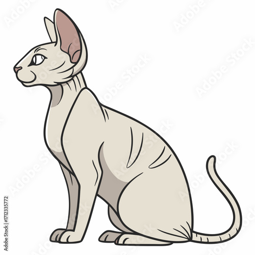 Sphinx cat breed color flat icon for web and mobile design. Vector illustration of cartoon Sphinx cat exotic cats of breed a sphinx. Cat portrait. Isolated on white background.