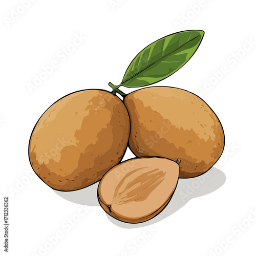 Sapodilla, 2D flat vector illustration in icon style, isolated on a white background