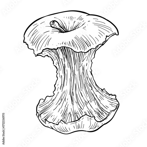 half eaten apple vector line art hand drawn illustration