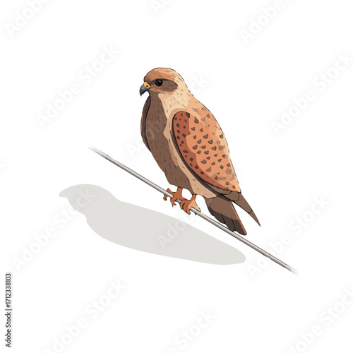 Hawk, 2D flat vector illustration in icon style, isolated on a white background