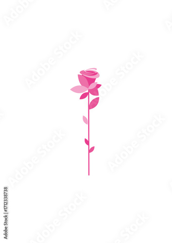 Beautiful long-stemmed pink rose
