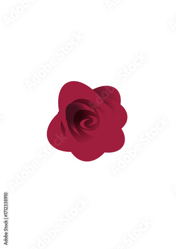 beautiful red rose